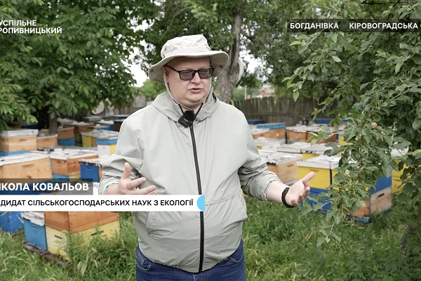 Доцент кафедри загального землеробства ЦНТУ Микола Ковальов дав експертний коментар щодо причин масової загибелі бджіл 