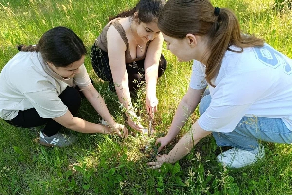 Перший курс агрономів опановує ботаніку на практиці: дослідження луків та прибережних зон