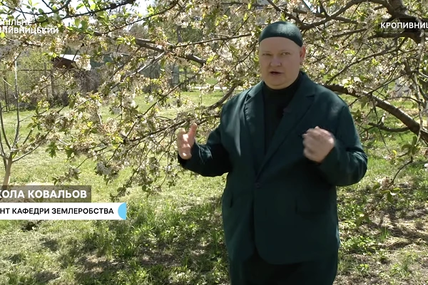 Заморозки на Кіровоградщині: науковці ЦНТУ прогнозують суттєві втрати врожаю кісточкових