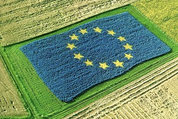 ЦНТУ розвиває партнерства для участі у програмах «Горизонт Європа» та місіях ЄС